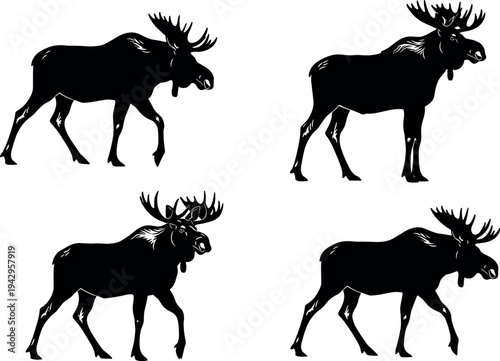 Moose silhouette set with walking and standing poses isolated on white background, wild forest animal illustration with large antlers for wildlife nature design and hunting theme