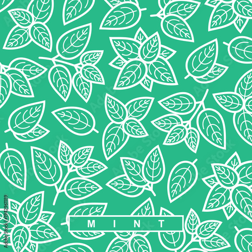 Mint leaves background, pattern set. Collection mint leaves icons. Vector