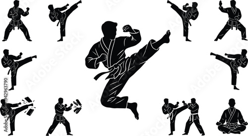 Martial arts silhouette collection featuring karate and taekwondo poses