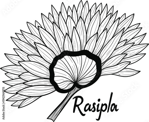 Black and white of a flower with the word rasipla plant petals