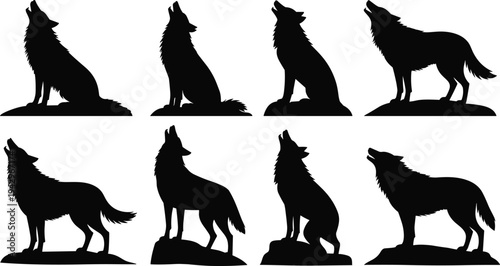 Howling wolf silhouettes collection, wild wolf standing and calling poses set, forest predator wildlife isolated black silhouette illustration