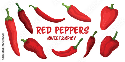 Red peppers set sweet spicy vector illustration capsicum bell chili hot food ingredients kitchen vegetables collection