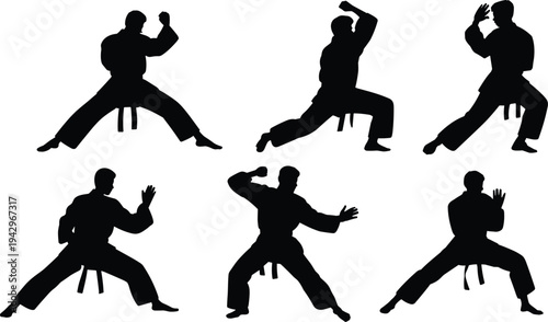 karate fighter silhouette set, martial arts combat poses collection, black training stances icons, sport athlete action, isolated vector illustration