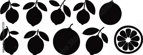 lemon citrus fruit silhouette set, orange lemon collection with leaves, black citrus shapes icons, fresh fruit vector illustration