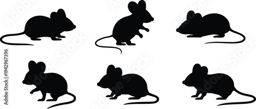 mouse silhouette set, small rodent animal collection, black mouse shapes icons, pest mammal outline, isolated wildlife vector illustration