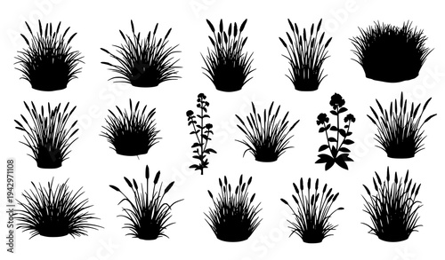 Wild grass silhouette collection vector with botanical clumps and outdoor greenery elements
