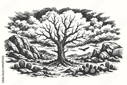 Vintage woodcut style illustration set featuring a barren desert landscape with a leafless tree, rocky terrain, and cacti under a dramatic cloudy sky.