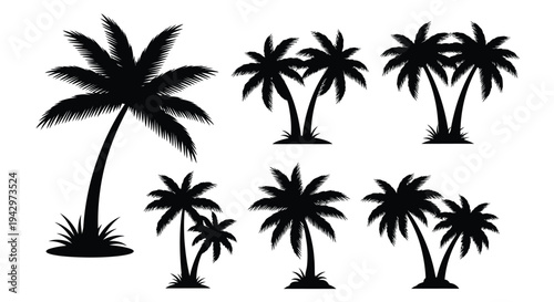 Collection of tropical palm trees in a dark dramatic silhouette