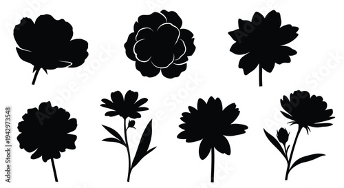 Black floral arrangements showcase delicate blooms in a striking silhouette