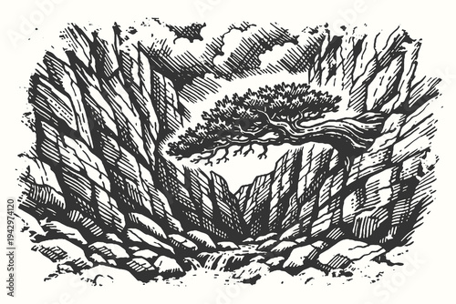 Deep canyon gorge with a small tree hanging over rocky cliffs, detailed black and white vector etching illustration.