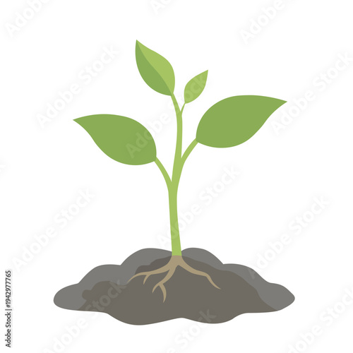 Spring Equinox Rebirth Illustration