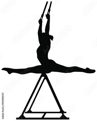 Silhouette aerialist performing a full split on straps, showing strength, balance, flexibility, and grace.