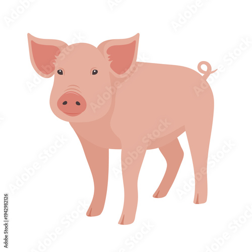 Cute farm pig standing. Flat vector illustration of domestic livestock animal isolated for agriculture design, farm branding, children print, packaging, sticker, poster and rural theme projects. 