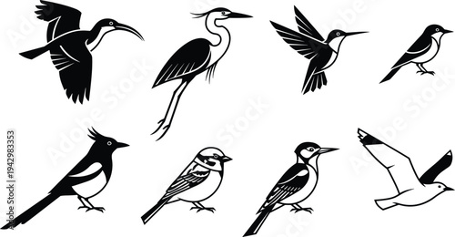 Bird silhouette collection flying and standing birds wildlife nature animal icon set black white ornithology vector illustration pack