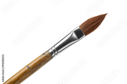 A traditional paintbrush with natural bristles and wooden handle