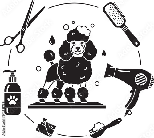 A black and white image of a poodle getting groomed isolated on transparent background, Vector