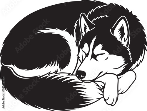 A black and white husky curled up and sleeping isolated on transparent background, Vector