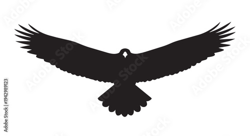 Black silhouette of a large bird with wings fully spread in flight is centered against a white background.