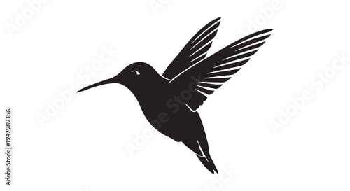 A black silhouette of a hummingbird hovers mid-air with wings spread wide in a dynamic pose against a white backdrop.