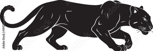A black panther is walking to the right isolated on transparent background, Vector