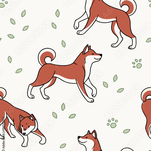 Pettern mit einem Shiba Inu