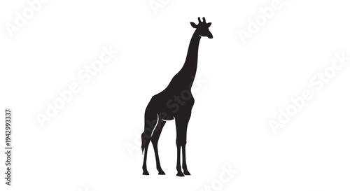 A tall giraffe silhouette stands upright with its long neck visible against a plain white backdrop for graphic use.
