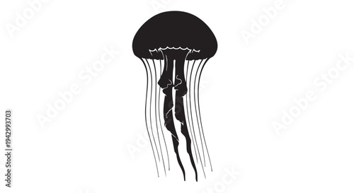 A detailed black silhouette illustration depicts a large jellyfish with long trailing tentacles floating in water.