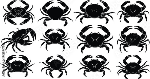 Collection of crab silhouettes in diverse poses, marine animal vector illustrations for ocean wildlife, seafood design, biology, and art projects