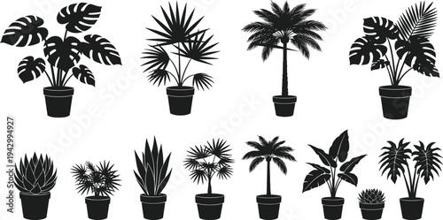 Collection of black silhouette potted plants with diverse leaf shapes, representing indoor greenery, tropical foliage, decoration, and botanical illustration
