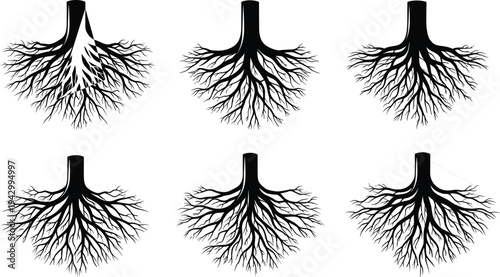 Collection of branching tree and root silhouettes, biological and anatomical vector illustrations for lung bronchi, fractals, and nature design