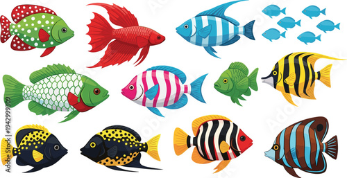 Colorful tropical fish collection, aquarium marine animals set, exotic ocean species illustrations for underwater life design, flat vector illustration