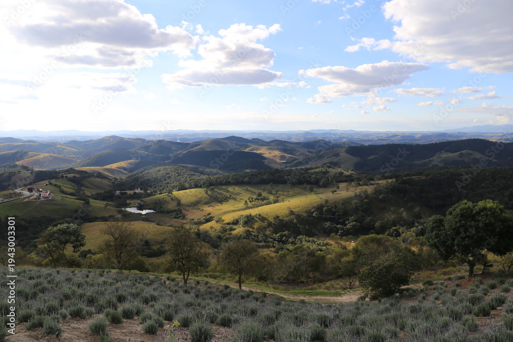 Obraz premium Paisagem