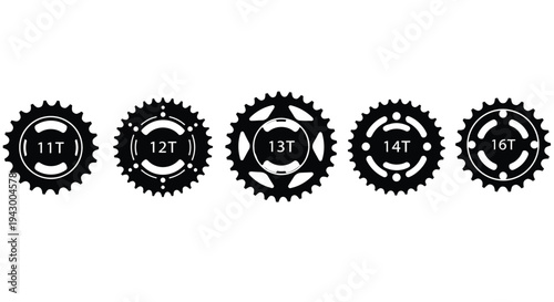 Five bicycle sprockets with tooth counts displayed as a silhouette