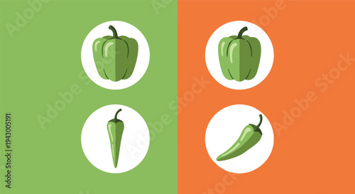 Illustration of green bell peppers and chili peppers displayed in circular frames on a split green and orange background.