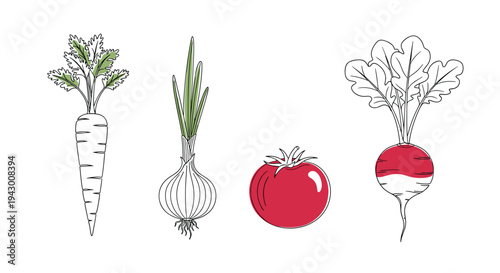 Four vegetables featuring a white carrot onion red tomato and radish in a clean line art style with color accents.
