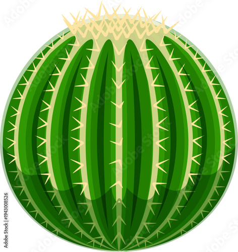 Cacti prickly plant, cactus font cartoon letter O. Succulent typeset sign, desert plant leaf font vector letter. Mexican cactus cartoon typeface symbol or prickly cacti type element