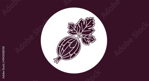 Gooseberry fruit illustration in a white circle on dark purple background for juice or jam packaging label and branding design elements.