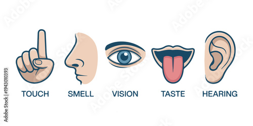 Human five senses concept with hand for touch, nose for smell, eye for vision, tongue for taste, ear for hearing