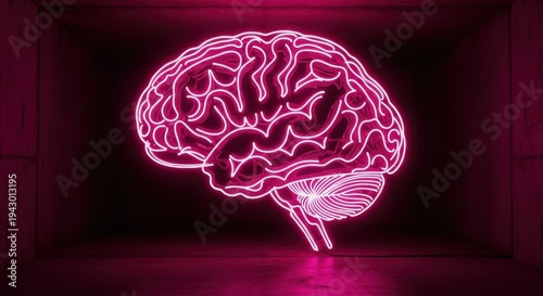 Illumination of the human cerebrum structure glows brightly in a dark, enclosed space.