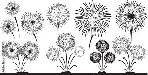 Dandelion flowers in various stages of bloom illustration set