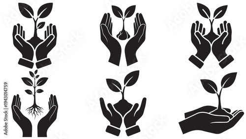 Hands Holding Young Tree Seedling Icon — Minimal Black-and-White Solid Silhouette, Flat Vector, Isolated on White