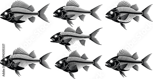 Fish skeleton silhouettes collection set, marine animal bone structure illustration, sea life anatomy design, cad drawing flat vector illustration