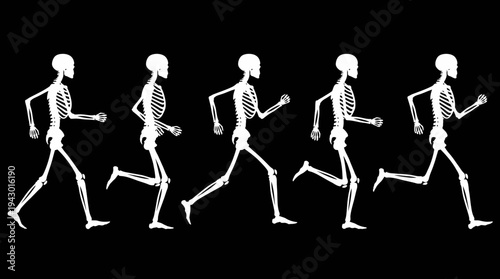 Five white human skeletons in a sequential running motion against a black background, illustrating locomotion and anatomical movement.