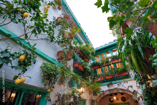 Foto Whitewashed walls with teal trim and balconies hold terracotta planters, a lemon tree trails over barred windows, warm lamps glow under a brick archway in Cordoba