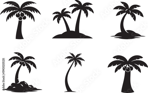 Palm tree collection for tropical beach, island travel, summer vacation and coastal nature