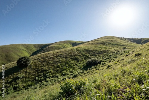 a green hillside with trees and bushes in the foreground