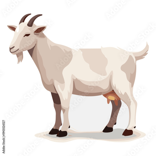 Eid Al-Adha Qurban Animals