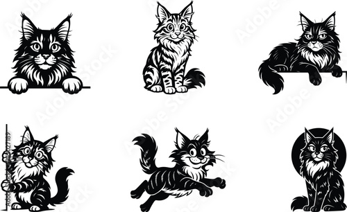 Creative Maine Coon cat silhouette bundle set featuring stylish feline outlines ideal for vinyl decals stickers wall art and craft designs