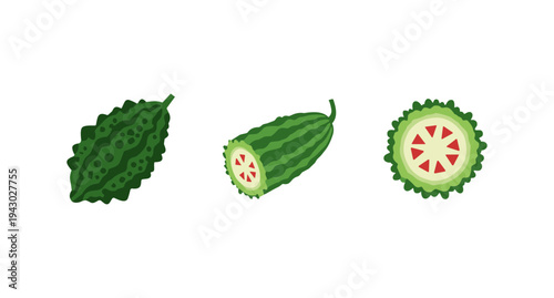 Green bitter melon or bitter gourd illustrations showing whole fruit and cross section slices, flat vector vegetable food icons isolated on white background