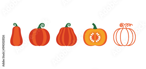 Flat vector pumpkin icons collection including various shapes like long round ribbed and sliced cross sections for autumn harvest and thanksgiving decor
